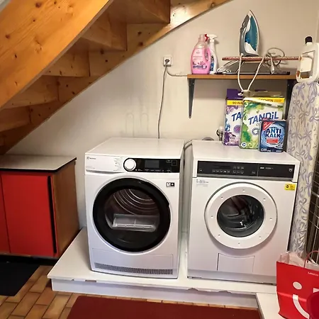 Tatil Evi Engel Ingold 