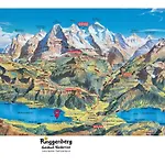 Engel Ingold 